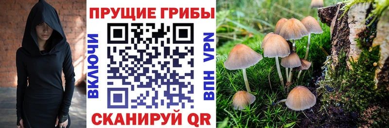 Галлюциногенные грибы GOLDEN TEACHER  Ахтырский 